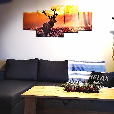 Apartament Lenka Karkonosze Apartment เยเลเนียกูรา ภายนอก รูปภาพ